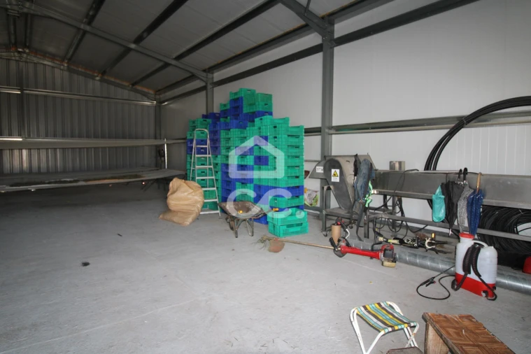 Terreno para Venda em Aguas Frias Foto 8