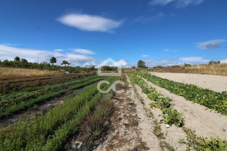 Terreno para Venda em Aguas Frias Foto 16