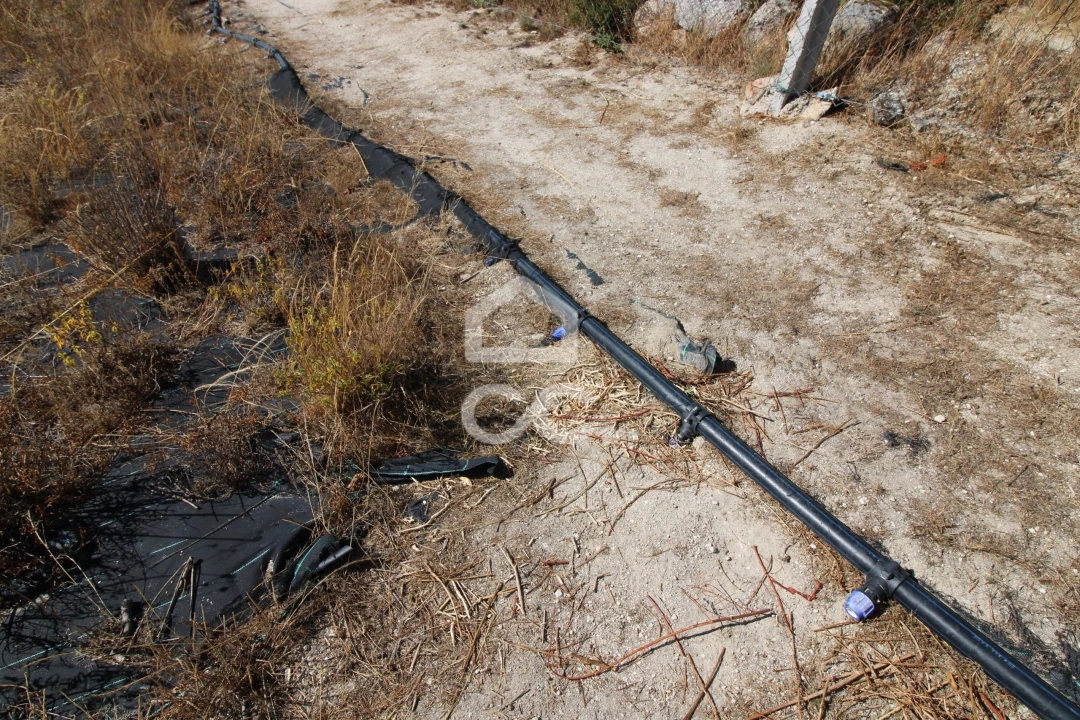 Terreno para Venda em Aguas Frias Foto 21