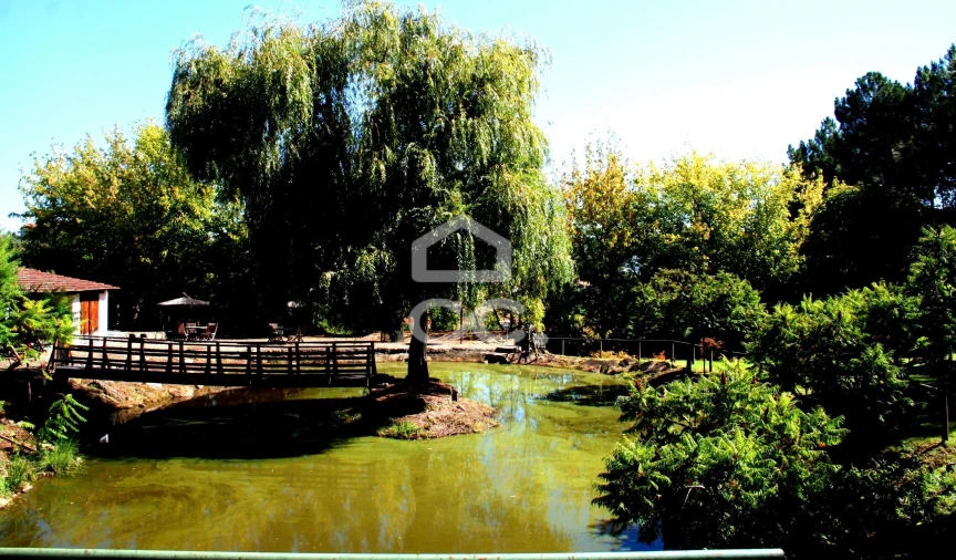 Quinta T5 para Venda em Vale de Anta Foto 11