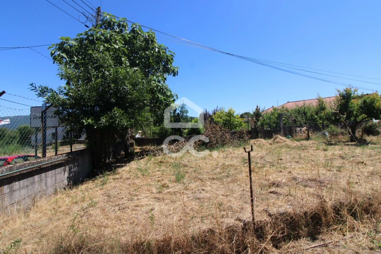 Terreno para Venda em Vale de Anta Foto 6