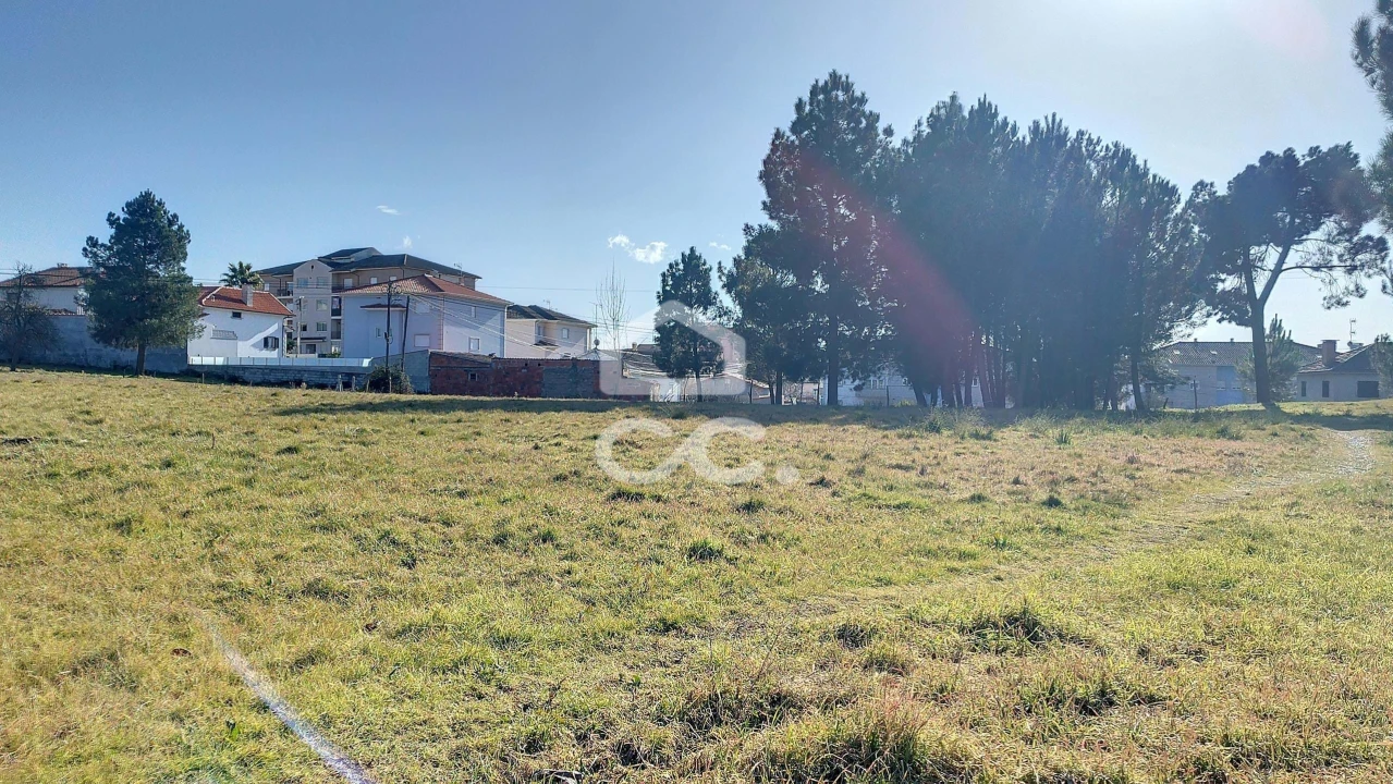 Terreno para Venda em Santa Cruz/Trindade e Sanjurge Foto 4