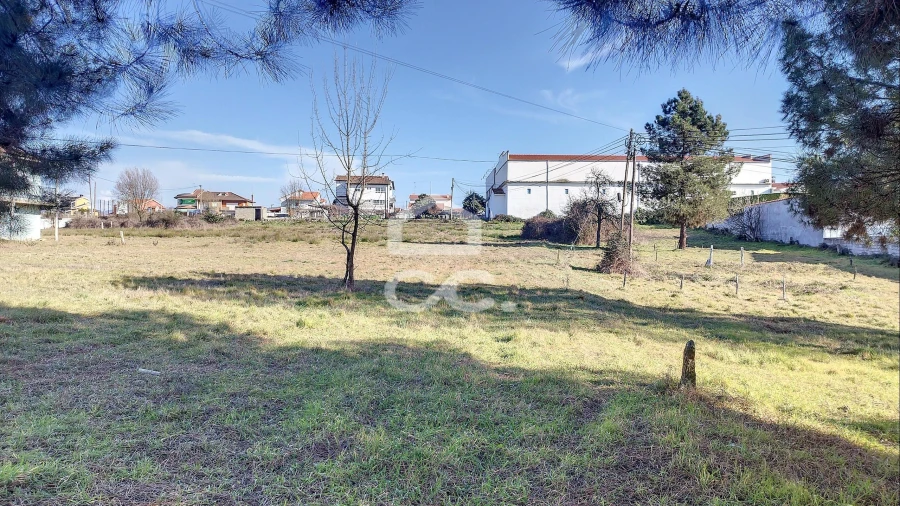 Terreno para Venda em Santa Cruz/Trindade e Sanjurge Foto 7