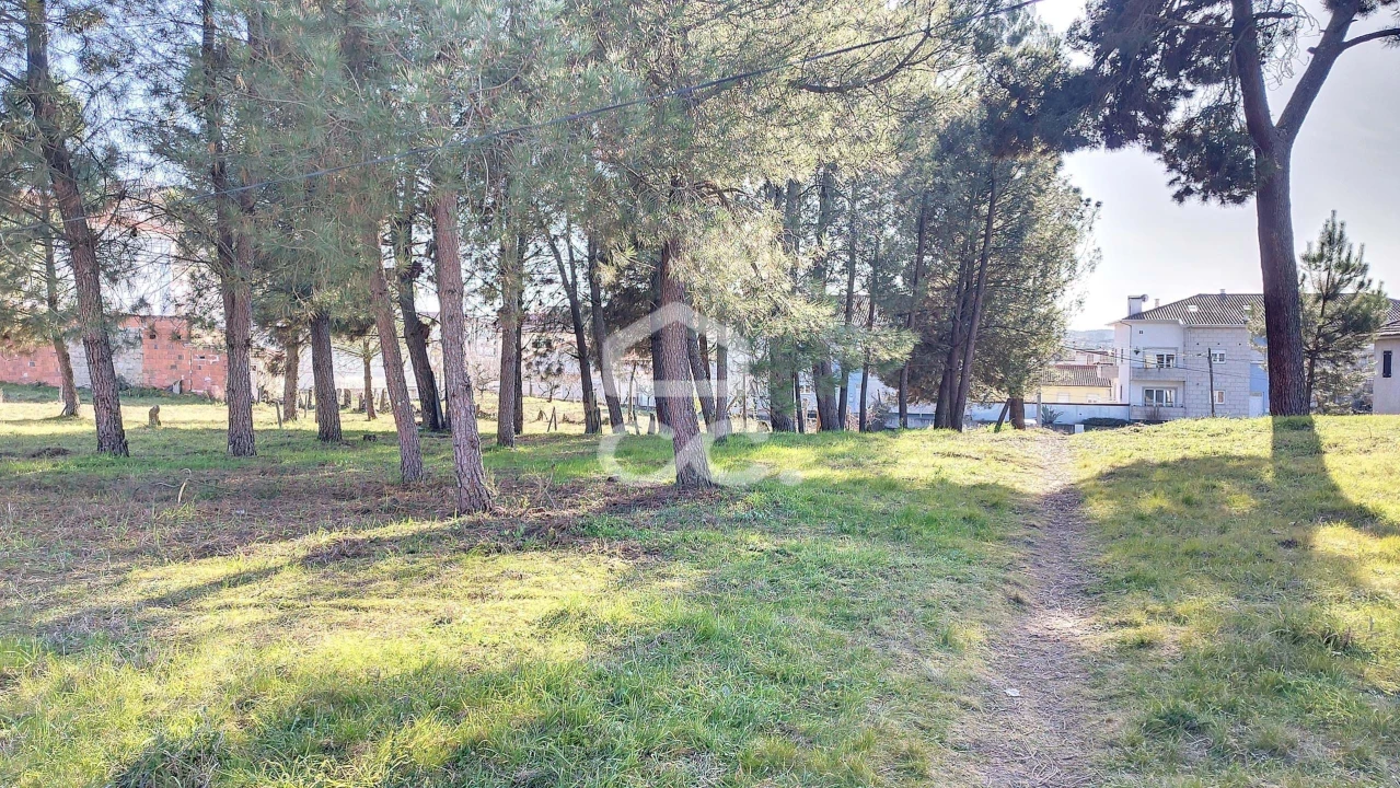 Terreno para Venda em Santa Cruz/Trindade e Sanjurge Foto 5