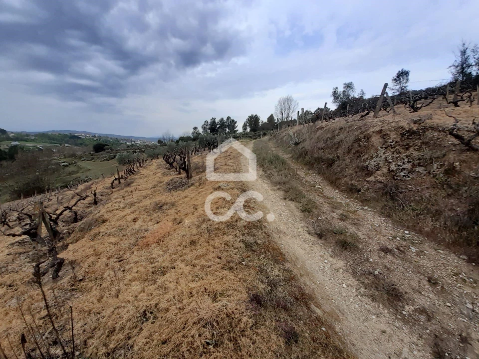 Terreno para Venda em Madalena e Samaiões Foto 9