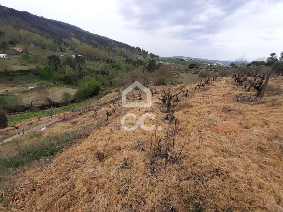 Terreno para Venda em Madalena e Samaiões Foto 8