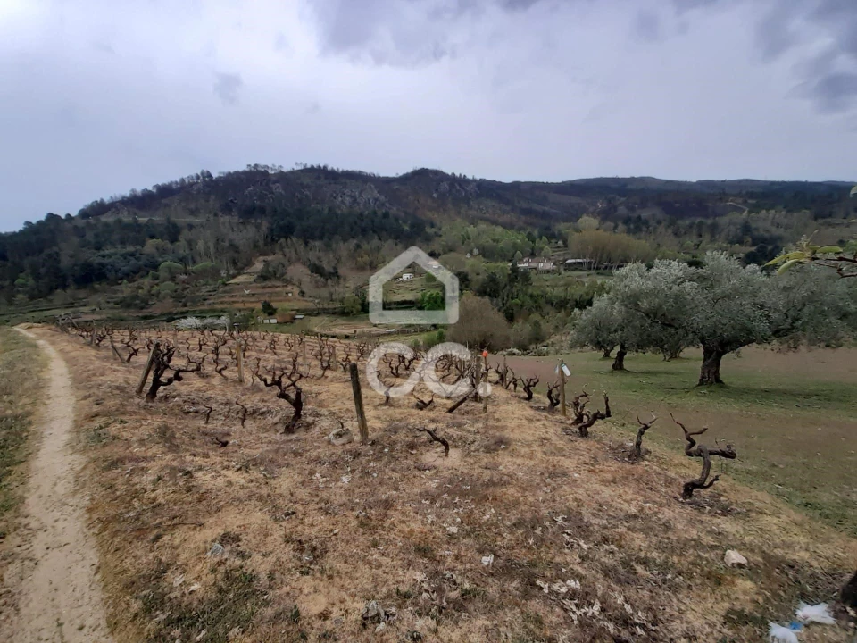 Terreno para Venda em Madalena e Samaiões Foto 5