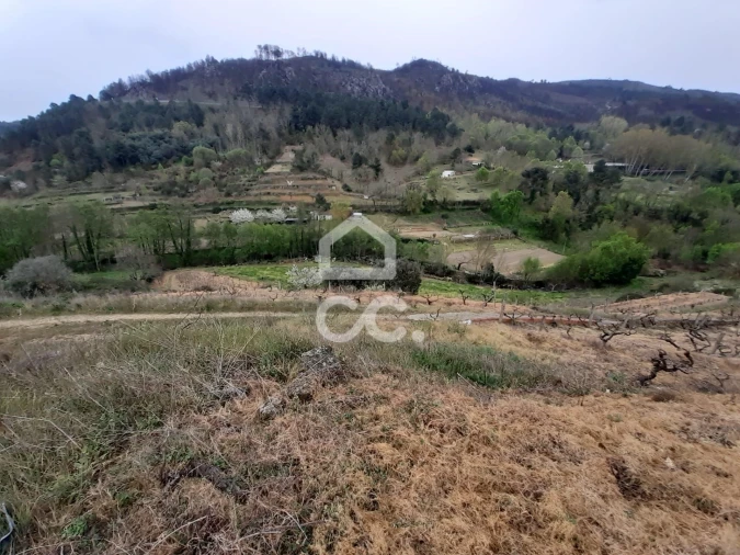 Terreno para Venda em Madalena e Samaiões Foto 7