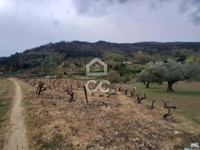 Terreno para Venda em Madalena e Samaiões Foto 1