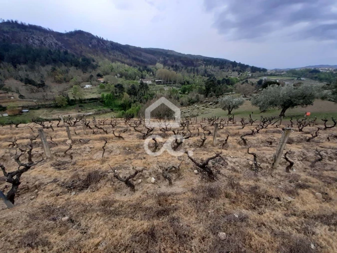 Terreno para Venda em Madalena e Samaiões Foto 11