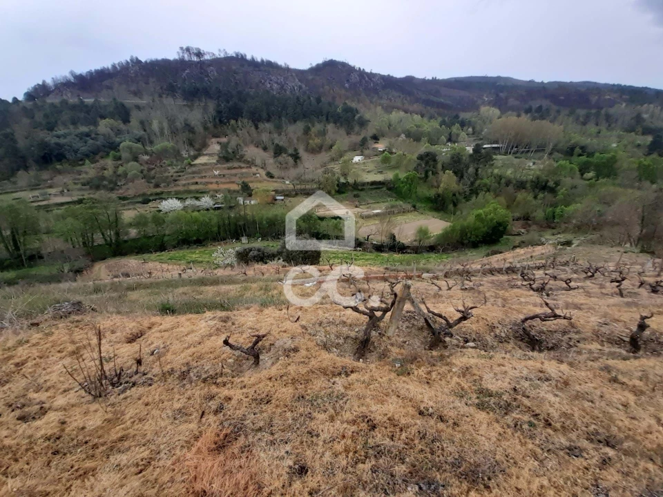 Terreno para Venda em Madalena e Samaiões Foto 3