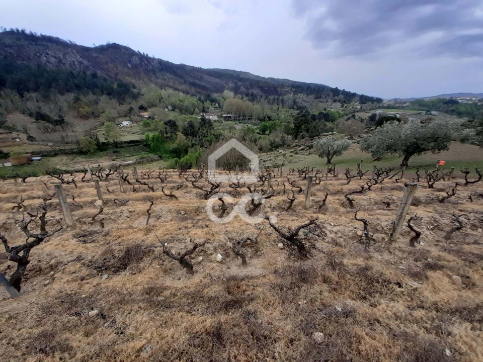 Terreno para Venda em Madalena e Samaiões Foto 11