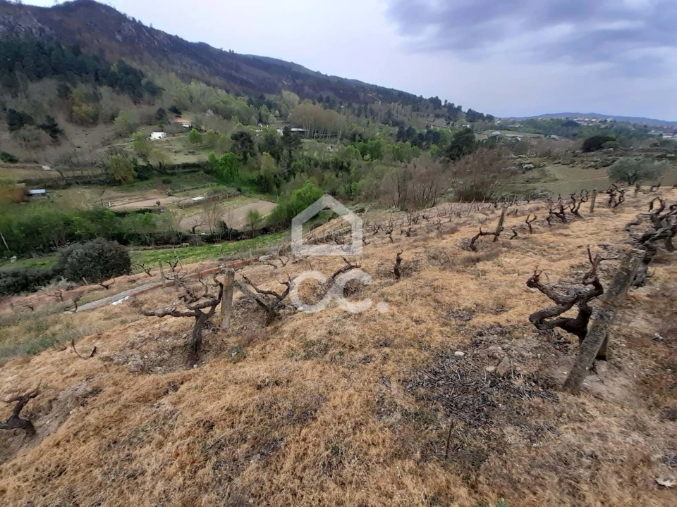 Terreno para Venda em Madalena e Samaiões Foto 6