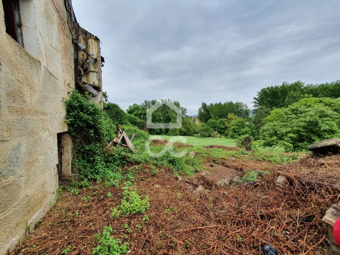 Moradia para Venda em Santa Maria Maior Foto 3