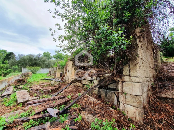 Moradia para Venda em Santa Maria Maior Foto 15