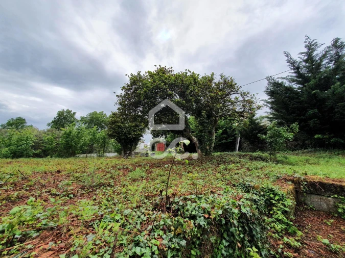 Moradia para Venda em Santa Maria Maior Foto 9