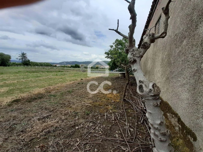 Terreno para Venda em Faiões Foto 8