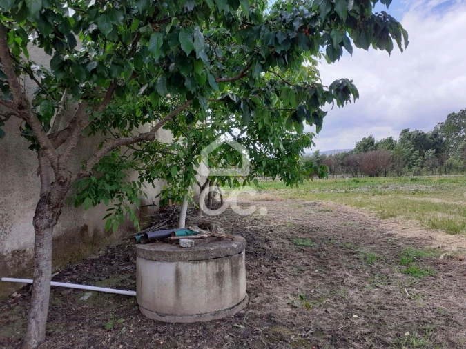 Terreno para Venda em Faiões Foto 6