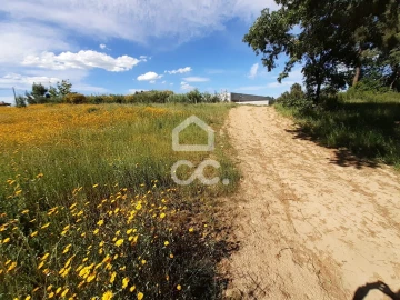 Terreno para Venda em Santa Maria Maior