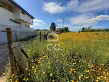 Terreno para Venda em Santa Maria Maior
