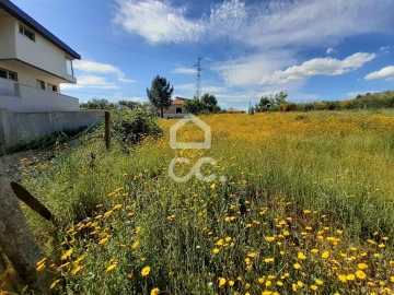 Terreno para Venda em Santa Maria Maior