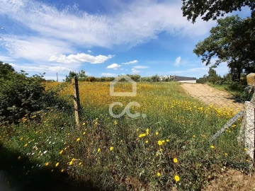 Terreno para Venda em Santa Maria Maior