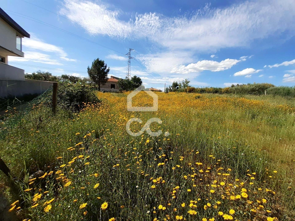 Terreno para Venda em Santa Maria Maior Foto 8