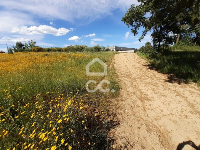 Terreno para Venda em Santa Maria Maior Foto 6