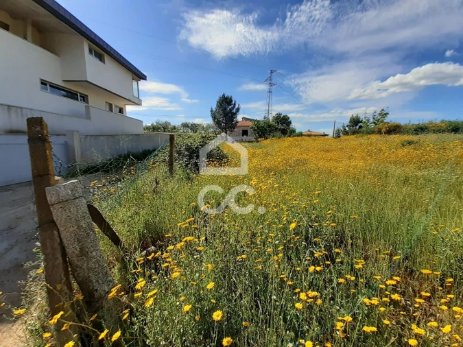 Terreno para Venda em Santa Maria Maior Foto 4
