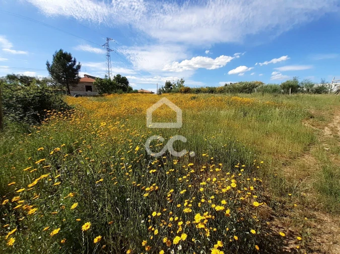 Terreno para Venda em Santa Maria Maior Foto 7
