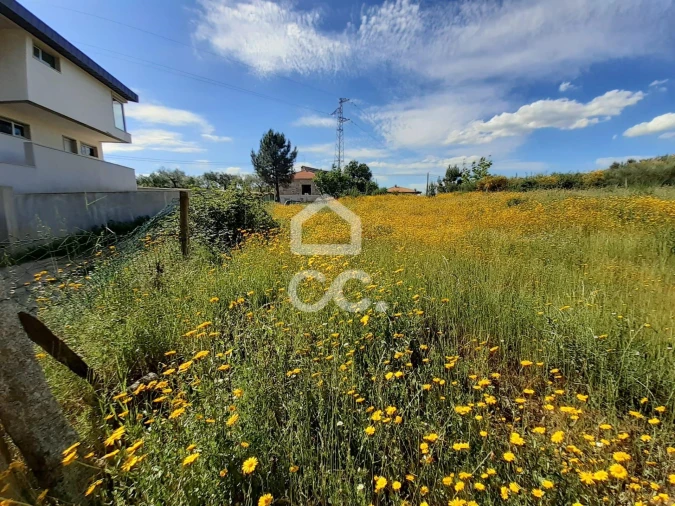 Terreno para Venda em Santa Maria Maior Foto 3