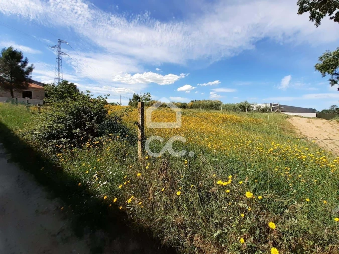 Terreno para Venda em Santa Maria Maior Foto 9