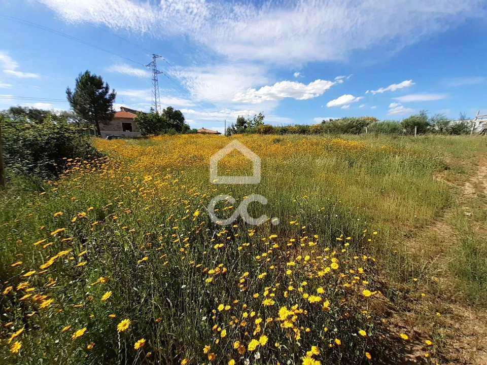 Terreno para Venda em Santa Maria Maior Foto 7