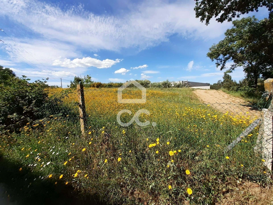 Terreno para Venda em Santa Maria Maior Foto 10