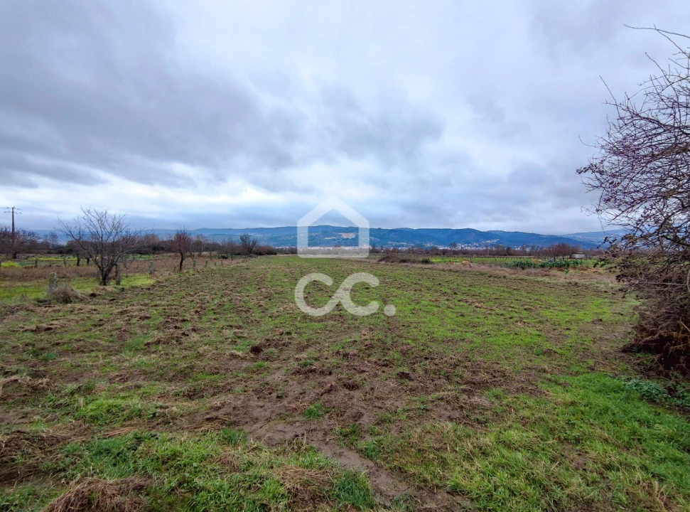 Terreno para Venda em Outeiro Seco Foto 4