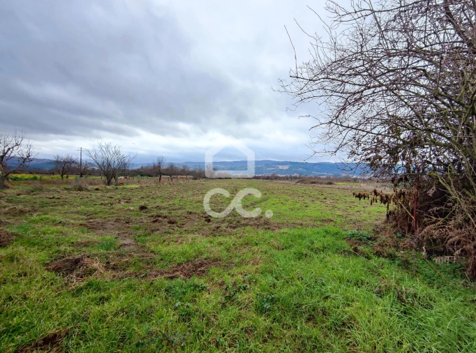 Terreno para Venda em Outeiro Seco Foto 5