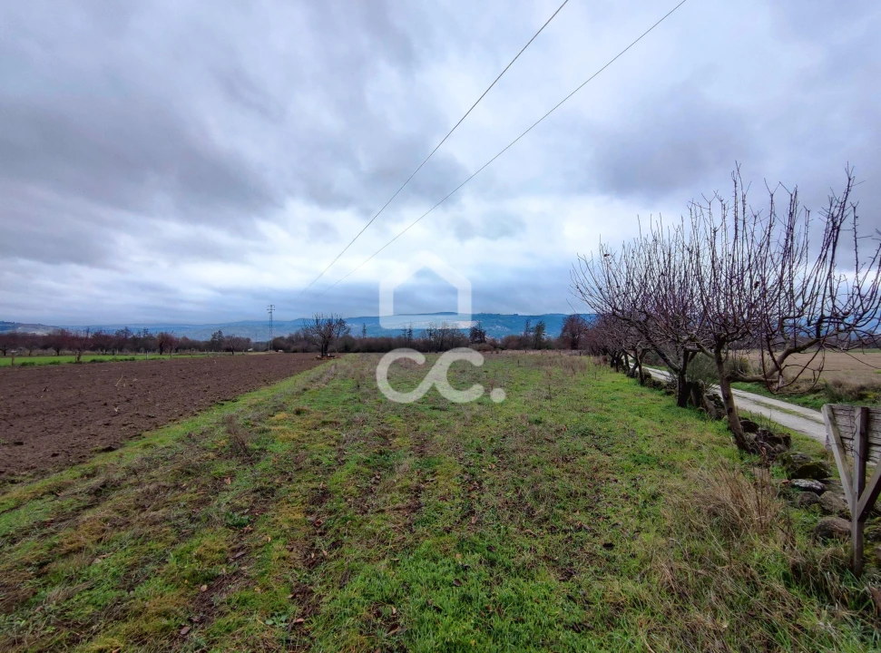 Terreno para Venda em Outeiro Seco Foto 5
