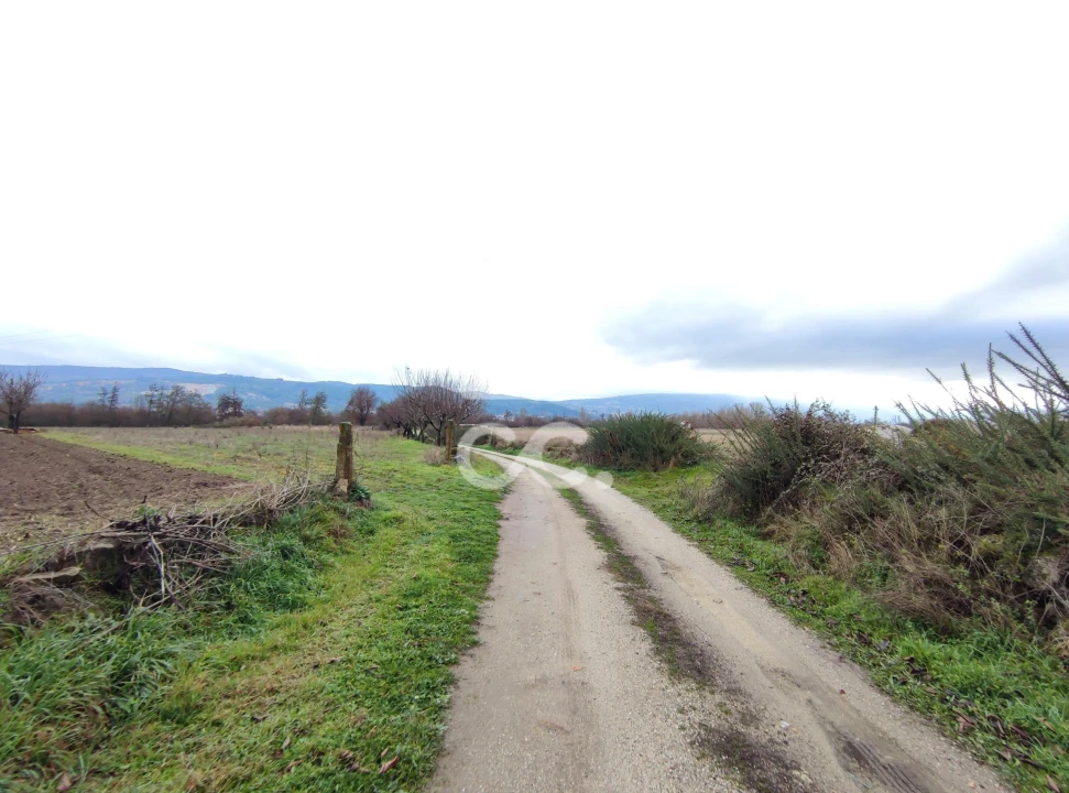 Terreno para Venda em Outeiro Seco Foto 4
