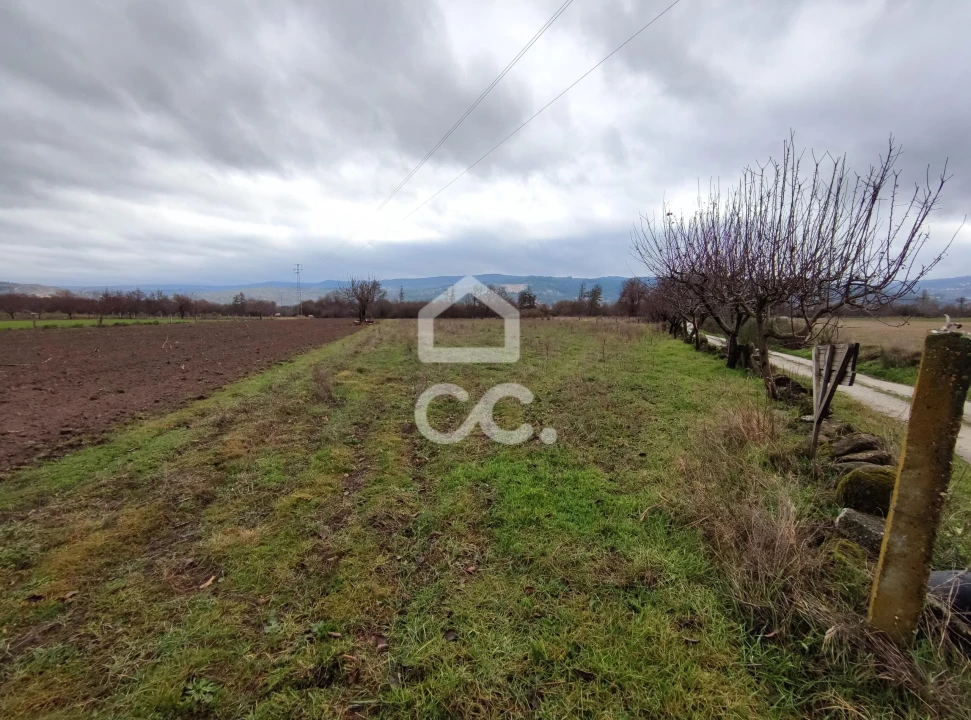 Terreno para Venda em Outeiro Seco Foto 12