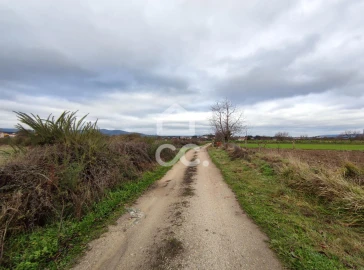 Terreno para Venda em Outeiro Seco