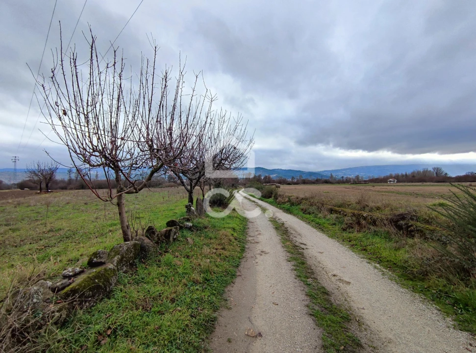 Terreno para Venda em Outeiro Seco Foto 9