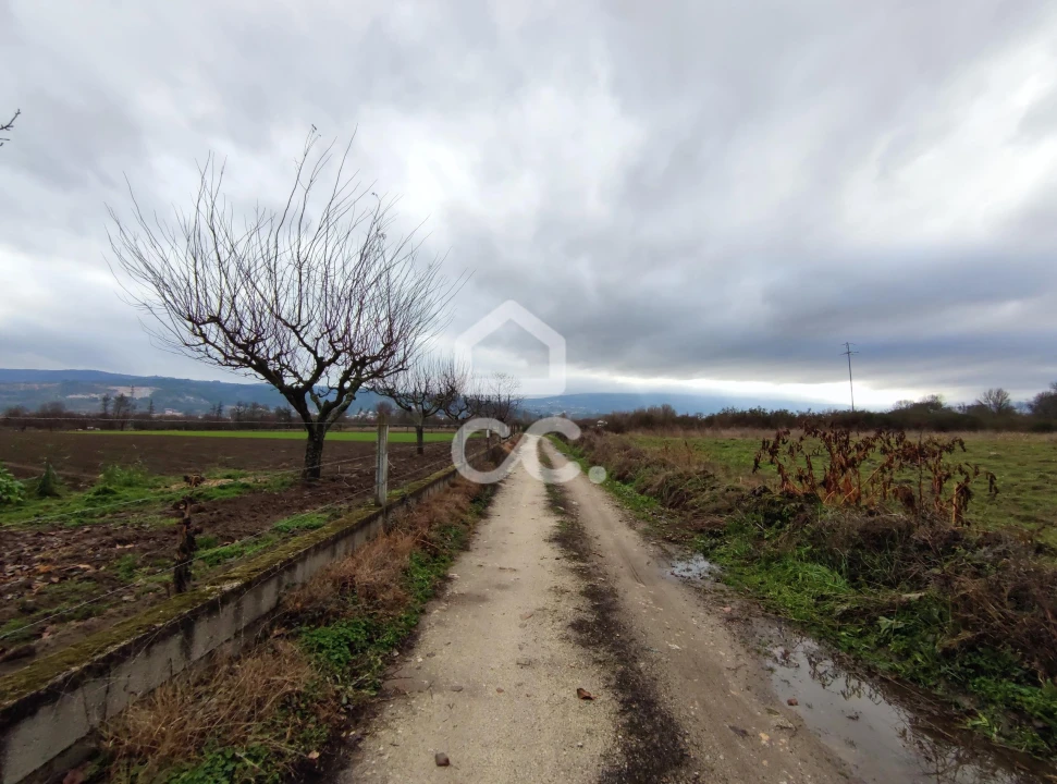 Terreno para Venda em Outeiro Seco Foto 2