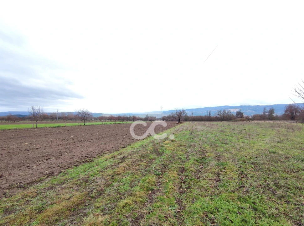Terreno para Venda em Outeiro Seco Foto 6
