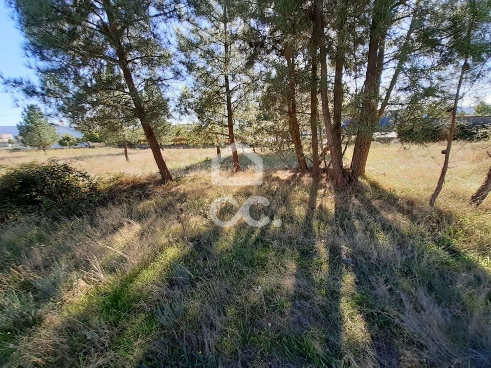 Terreno para Venda em Santa Cruz/Trindade e Sanjurge Foto 12