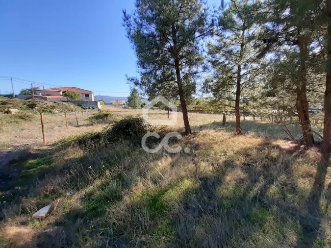 Terreno para Venda em Santa Cruz/Trindade e Sanjurge Foto 8