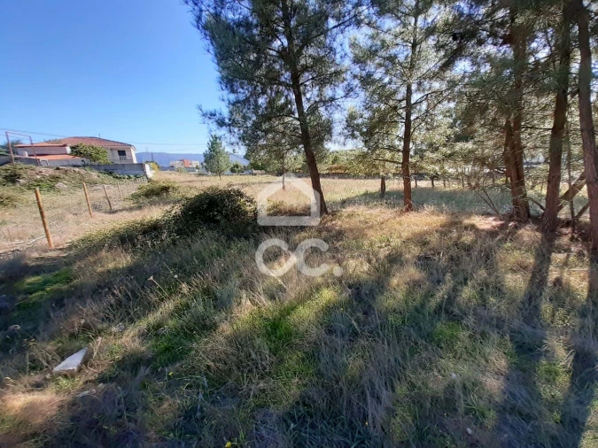 Terreno para Venda em Santa Cruz/Trindade e Sanjurge Foto 11