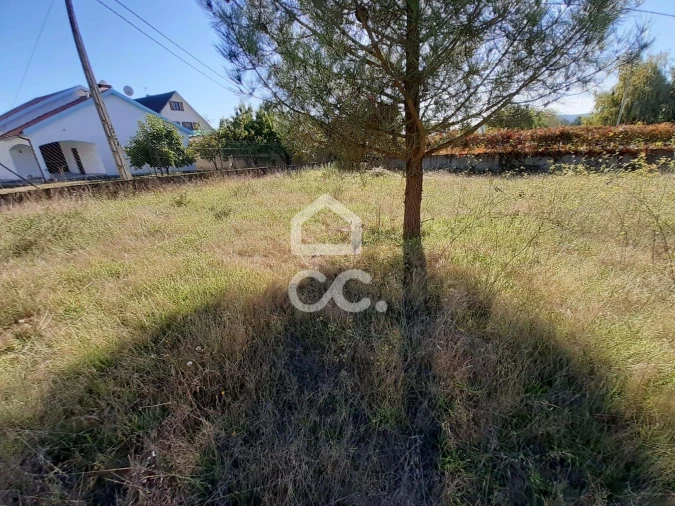 Terreno para Venda em Santa Cruz/Trindade e Sanjurge Foto 4