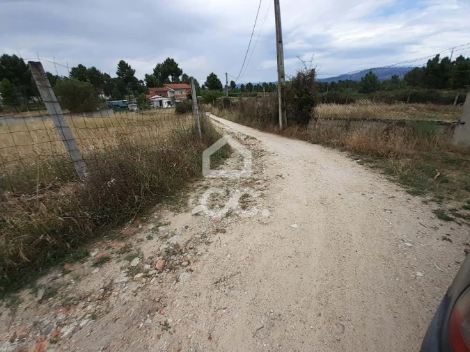 Terreno para Venda em Santa Cruz/Trindade e Sanjurge Foto 5