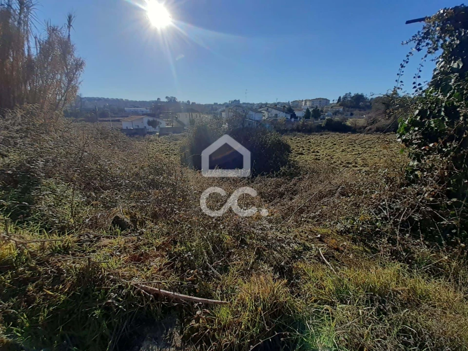 Terreno para Venda em Santa Maria Maior Foto 16