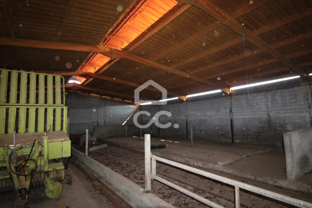 Armazém para Venda em Serapicos Foto 32